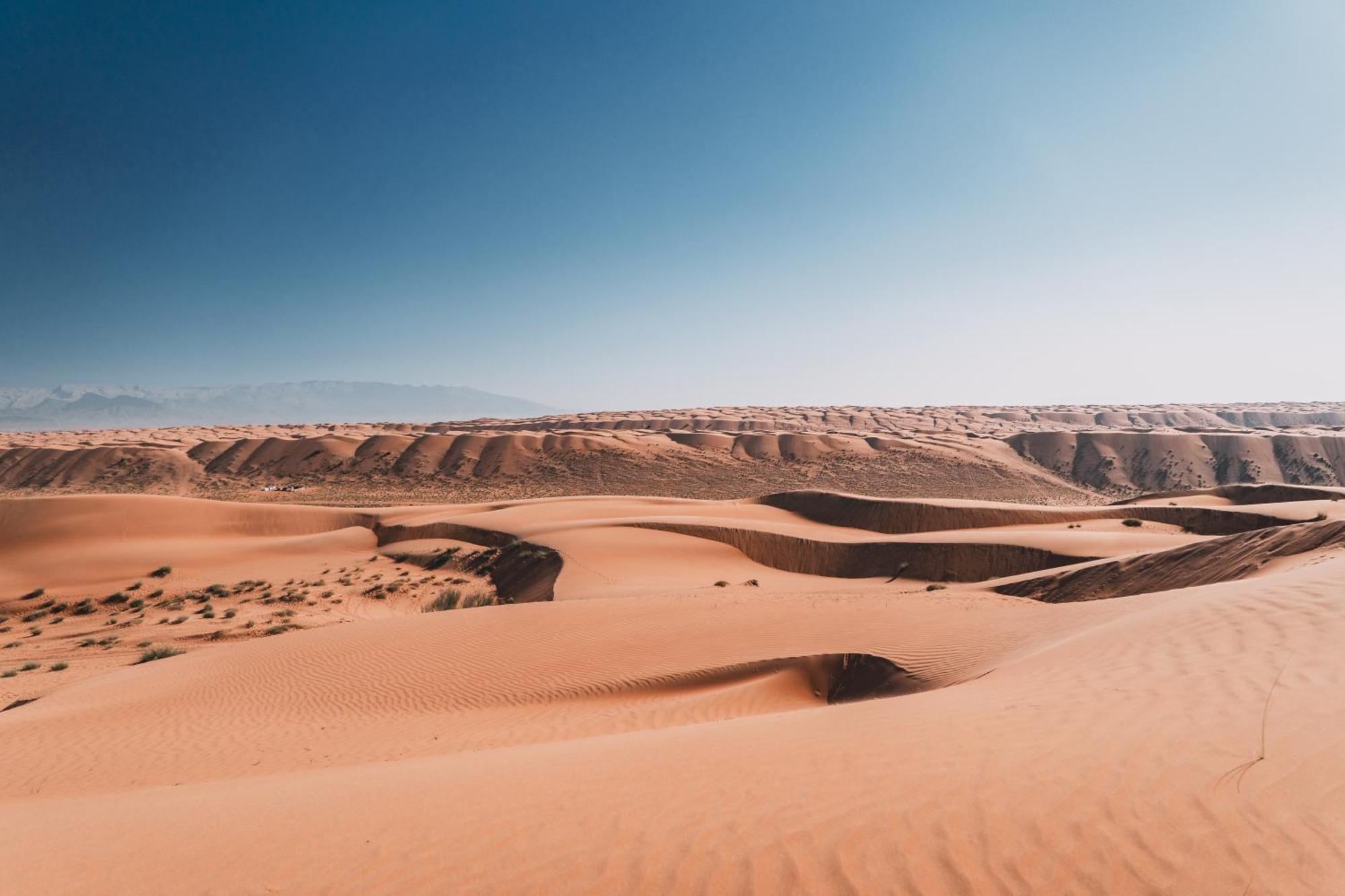 Hamood Desert Private Camp Al Wāşil Eksteriør billede