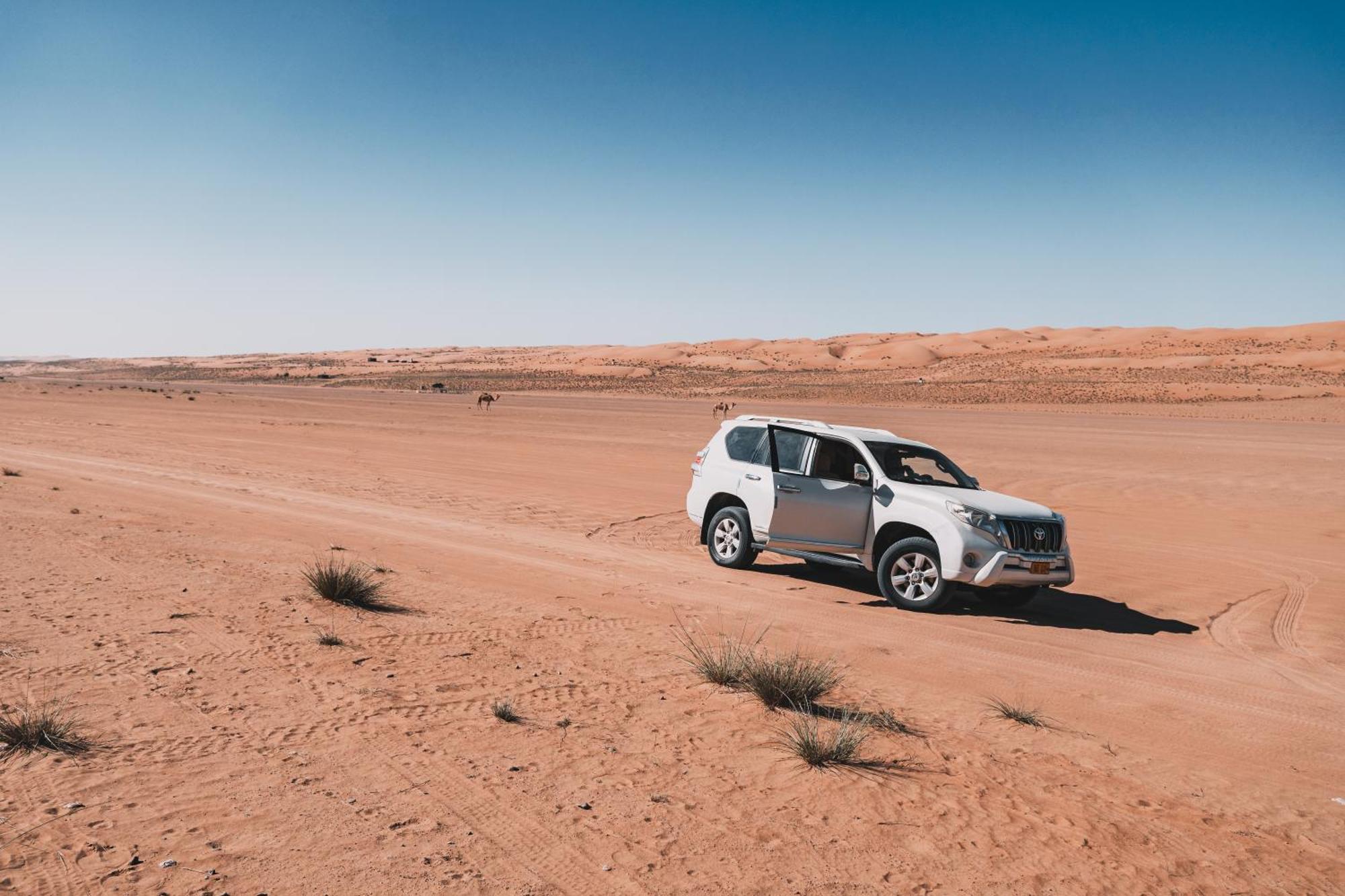 Hamood Desert Private Camp Al Wāşil Eksteriør billede