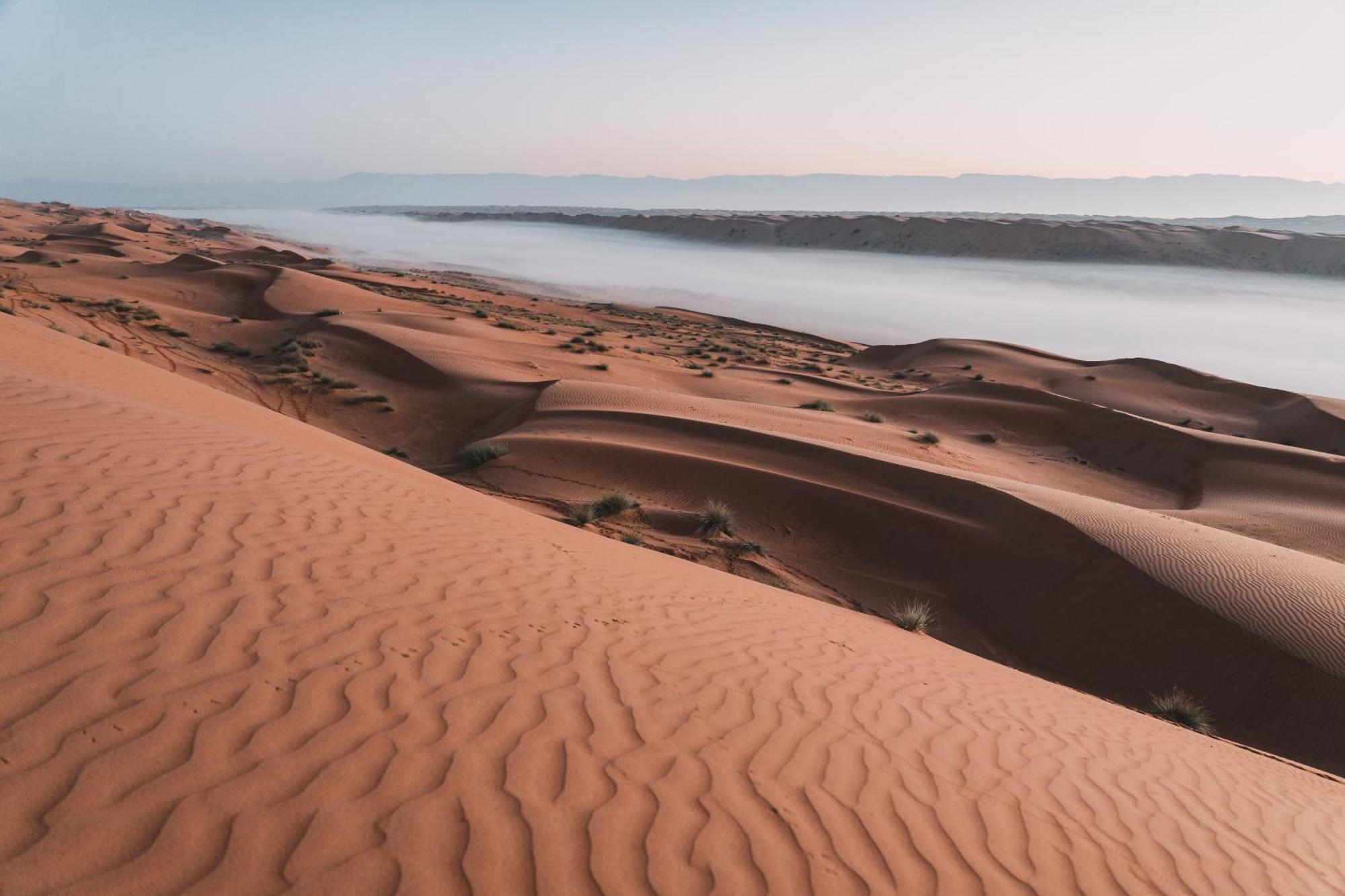 Hamood Desert Private Camp Al Wāşil Eksteriør billede