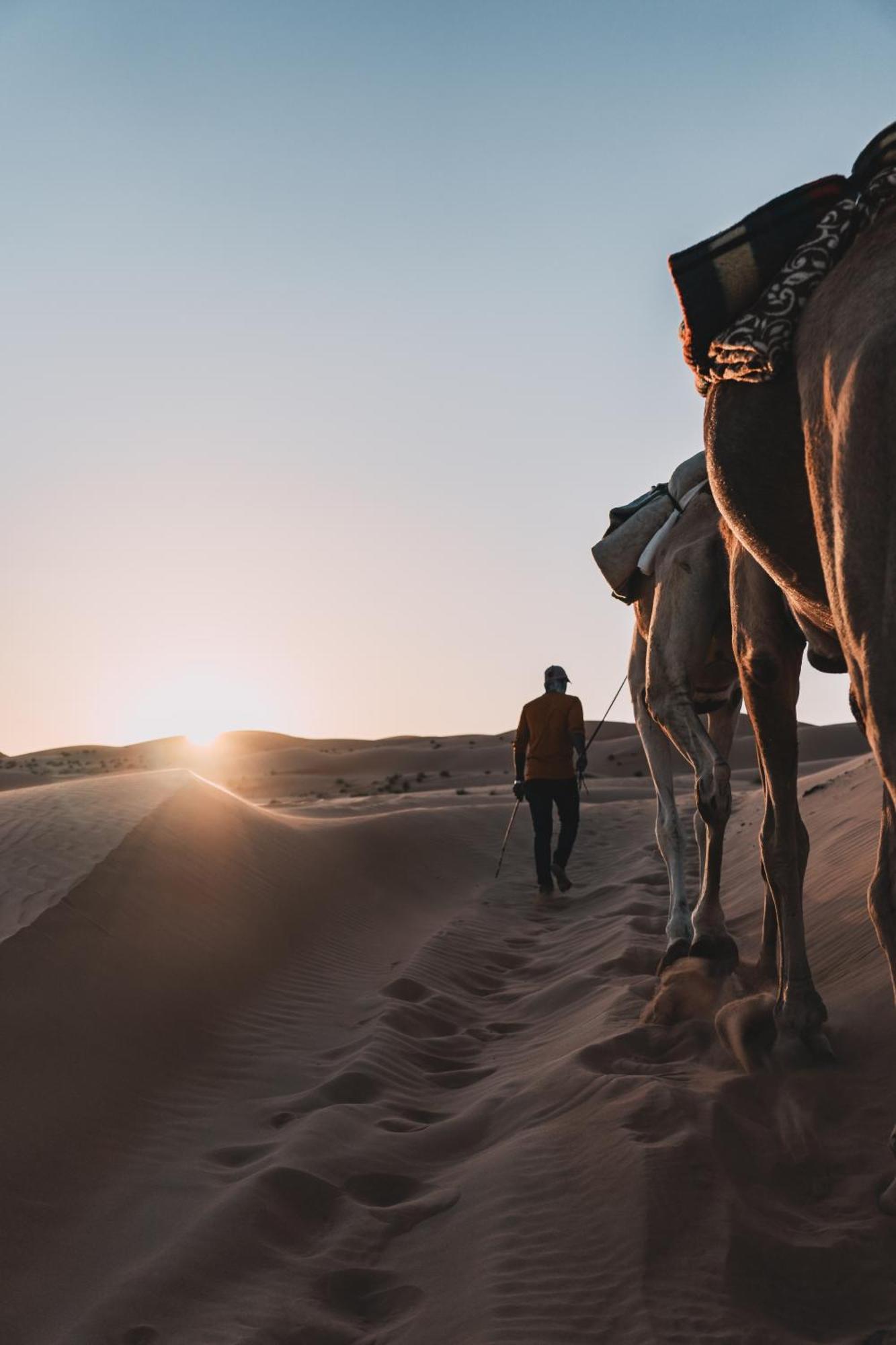 Hamood Desert Private Camp Al Wāşil Eksteriør billede