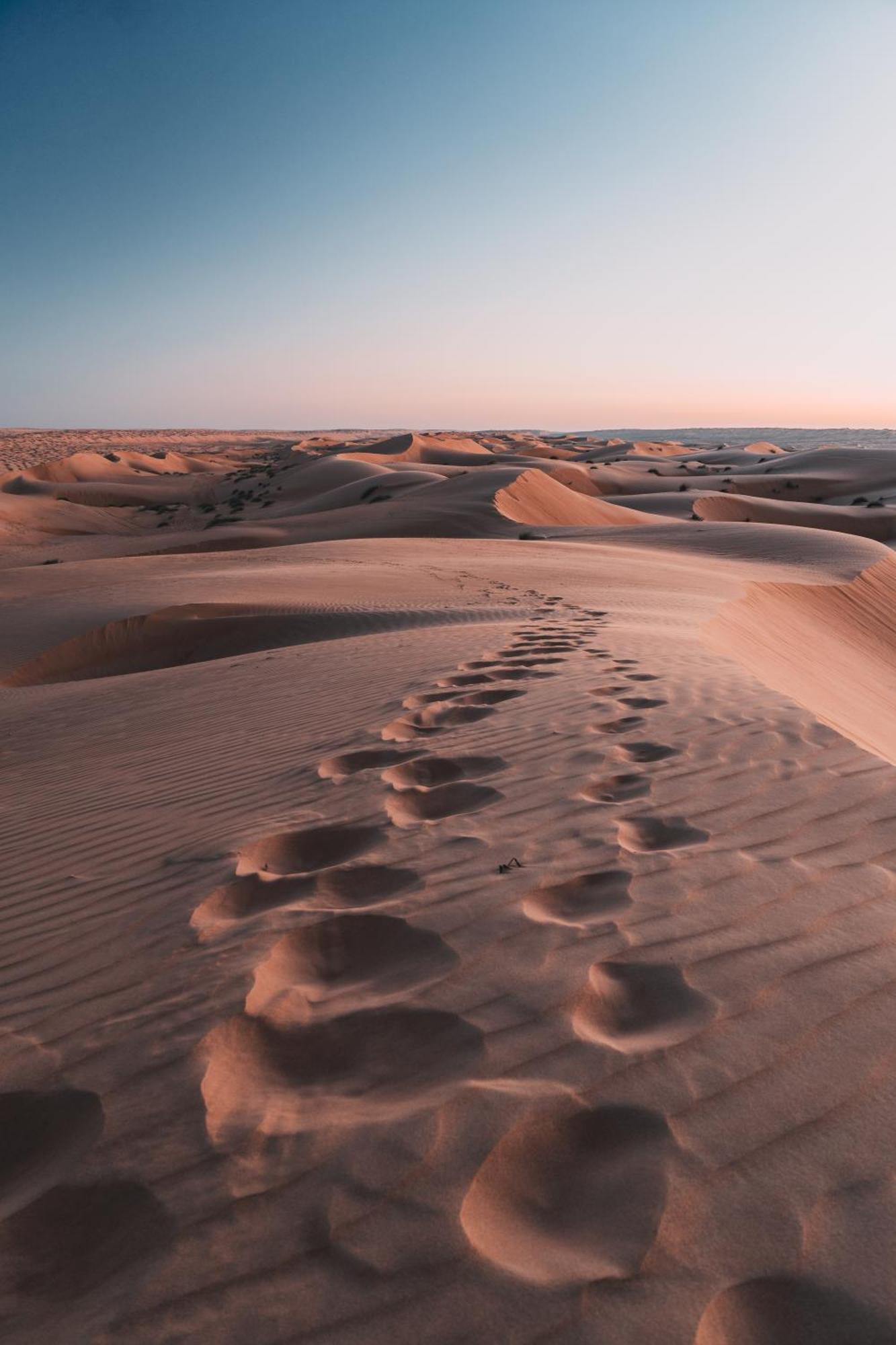 Hamood Desert Private Camp Al Wāşil Eksteriør billede
