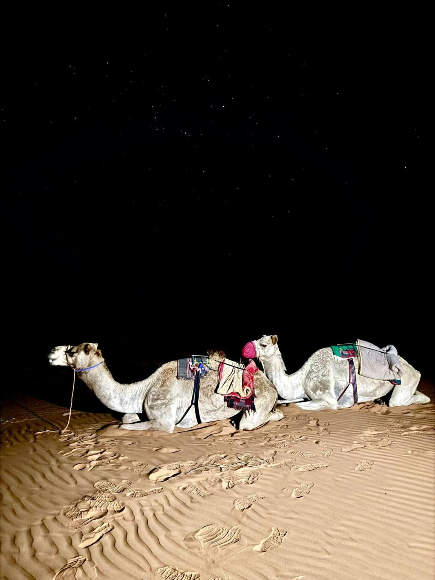 Hamood Desert Private Camp Al Wāşil Eksteriør billede